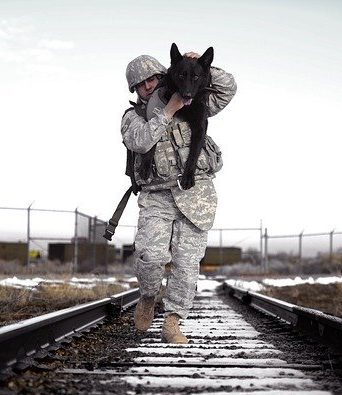 companions-899050_640